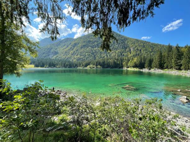istock Lake view on a sunny day with clear sky background 1459931753