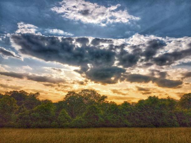 istock Breathtaking view of colorful sunset cloudscape over a field 1459932500