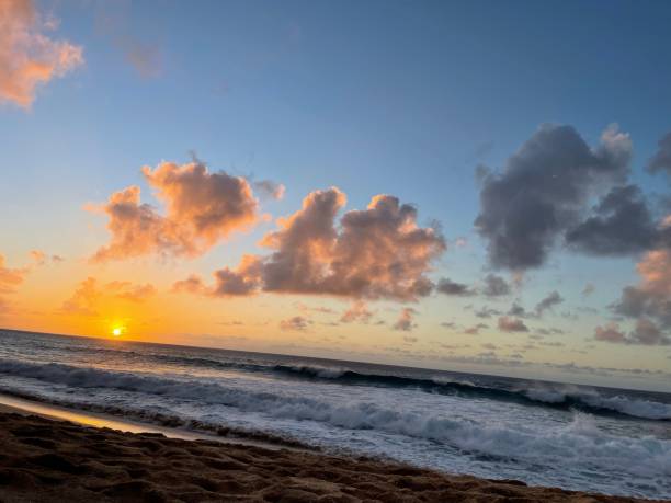 istock Beach with a sea in the background during scenic bright sunset 1459933062