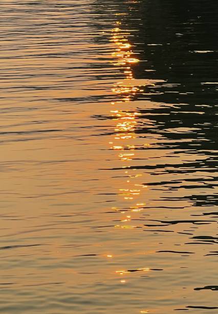 istock Vertical shot of the sunlight in a lake 1459933554