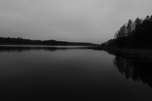 A grayscale shot of a calm river in a park