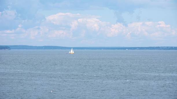 istock Boat sailing in sea under blue sky 1459936213