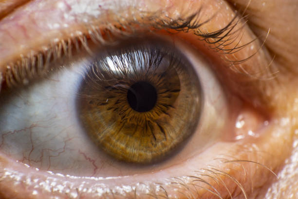 istock Macro shot of a light brown eye 1459936454