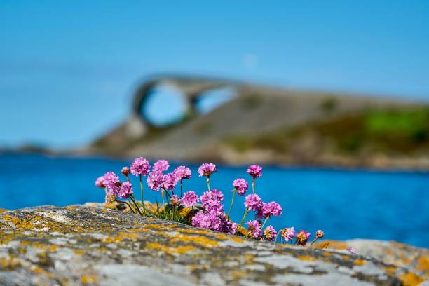 istock popular bridge along the famous atlantic road in Norway 1459937001