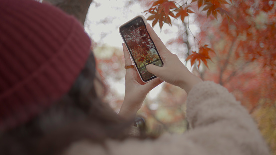 Young asian woman taking a photo or video of breathtaking view using smartphone at park in Autumn in Seoul-Korea. , enjoying relaxation. ,lifestyle concept ,People, lifestyle concept , smiling, looking happy , Nature, outdoors