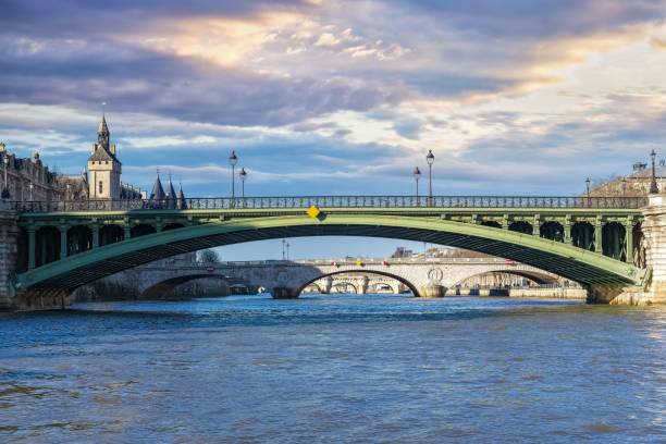 istock Paris, the Seine, with the Arcole bridge 1459937423