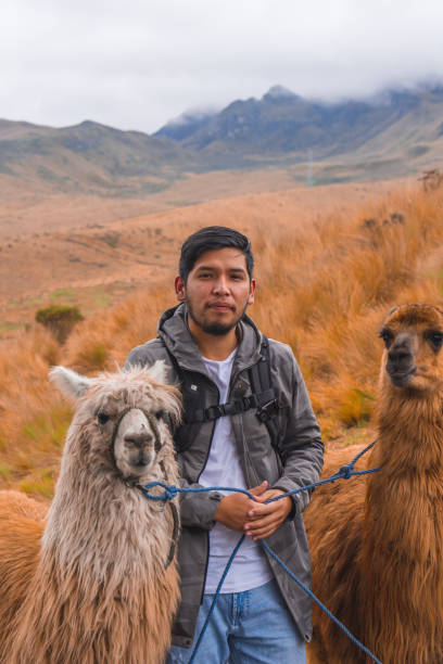 istock Young guy with cute lamas in the mountains 1459937676