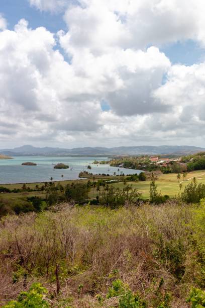 istock Vertical landscape of a green hillside at the shore 1459938829