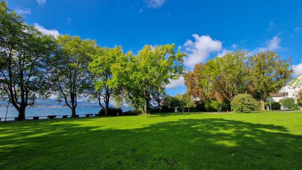 istock Autumn holidays at the beautiful Lake Constance 1459939984