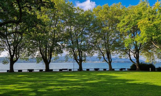 istock Autumn holidays at the beautiful Lake Constance 1459939988