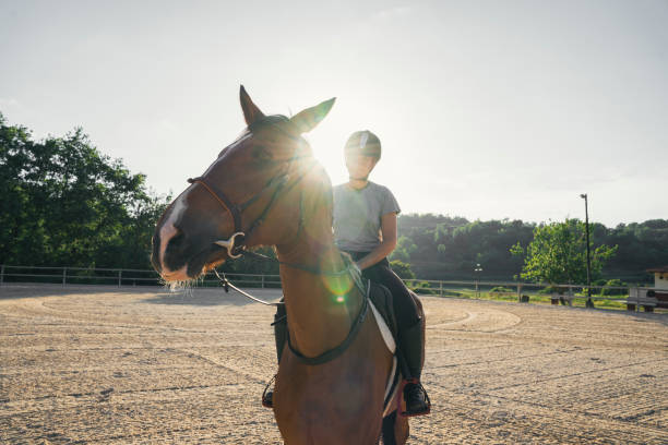 istock Female equestrian riding a horse 1459940816