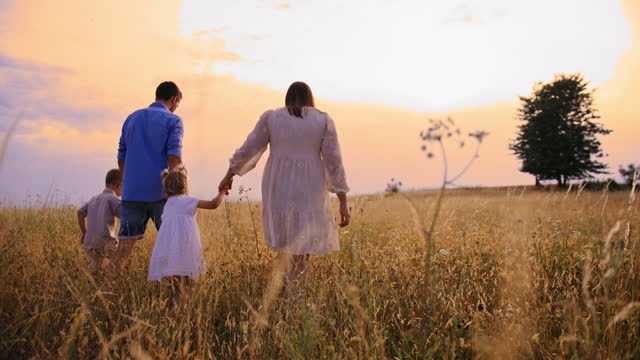 Slow motion tracking shot of a unrecognizable family of four walking down a tall grass meadow towards a sunset while holding hands