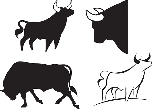 Bull set. Stylized icons of bull standing in different poses .Bulls logo design collection.