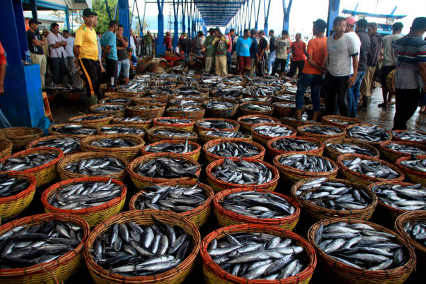 Activities of the aceh people at the lampulo fish market in Banda Aceh which is always busy visiting to find a variety of FRESH FISH at 02/02/2020