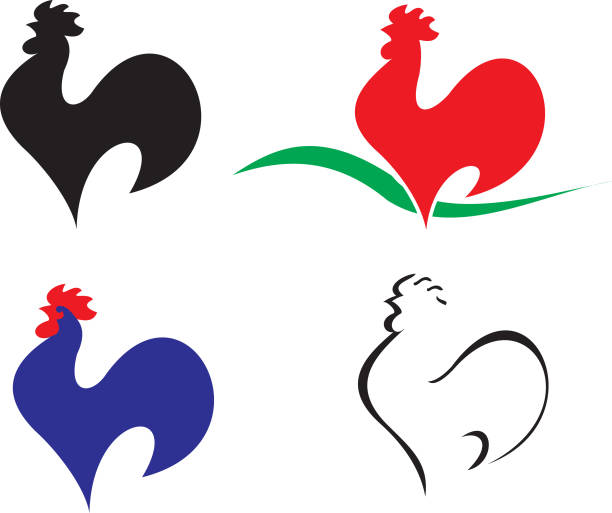 ilustraciones, imágenes clip art, dibujos animados e iconos de stock de juego de gallos. iconos estilizados de gallo. colección de diseño de logotipos de gallo. - chicken poultry cartoon cockerel