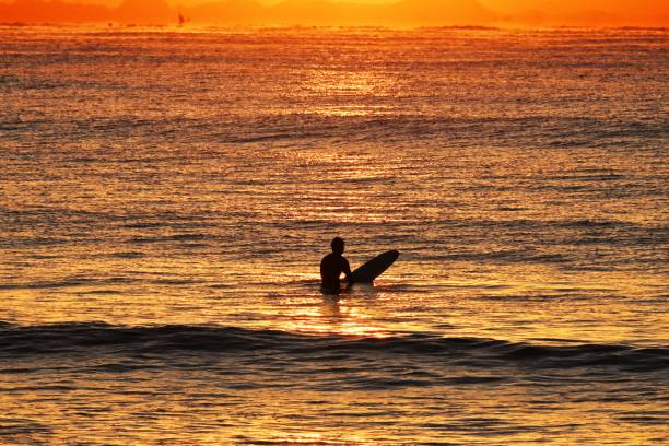 istock Surfers on the beach at dawn in winter. 1459946499