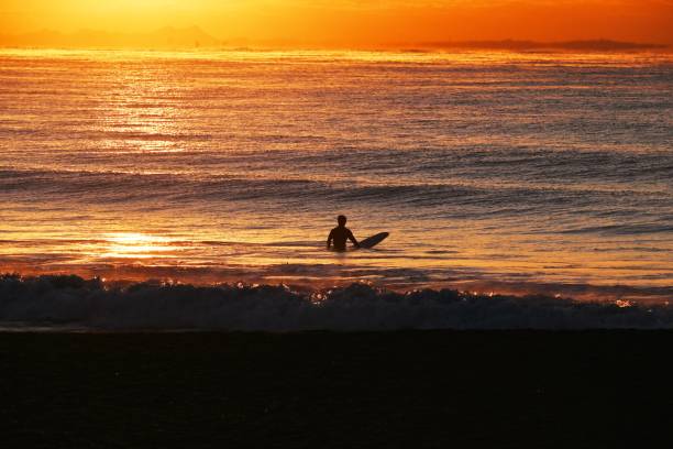 istock Surfers on the beach at dawn in winter. 1459946509
