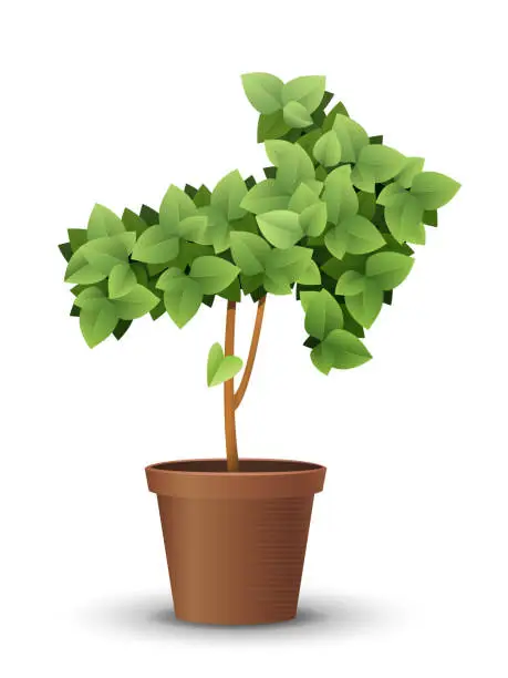 Vector illustration of vector large green tree grows from a flowerpot. concept of spring and summer