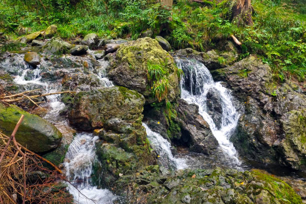 istock A stream flows through the rocks in the forest. Cold clean water. 1459948139