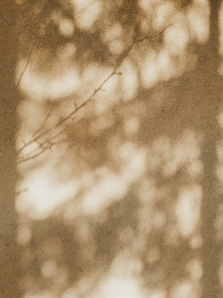 istock Blurry dense tree shadows in a sunny day on a brown wall. Natural abstract background, detailed texture. 1459949549