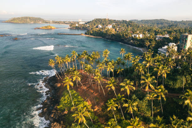 istock Coconut tree hill in Mirissa Beach. Sri Lanka. 1459950412