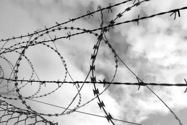 Black and white photo. Barbed wire against the sky. The concept of freedom