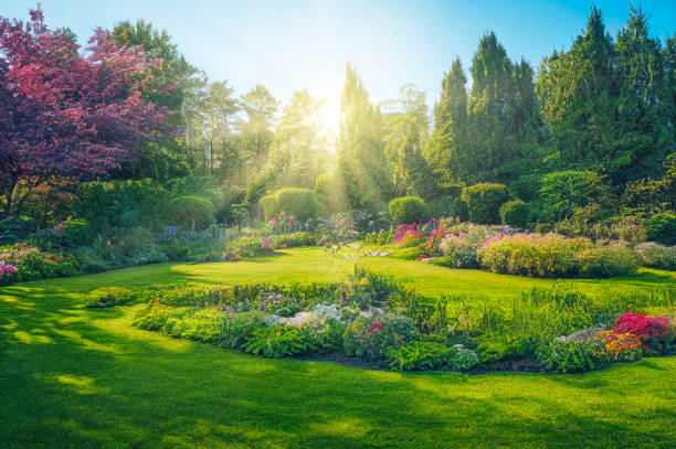 hermoso jardín de primavera con flores y césped, ilustración 3d - primavera fotografías e imágenes de stock