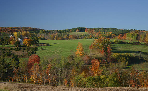 Autumn Fields stock photo