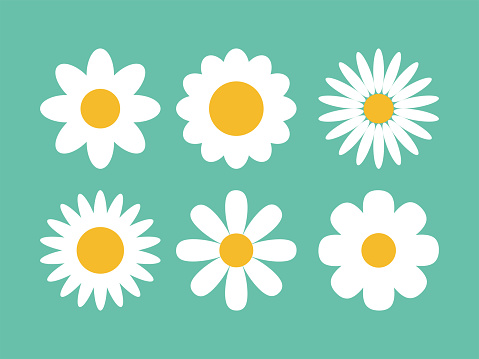Set of cute flowers, vector design