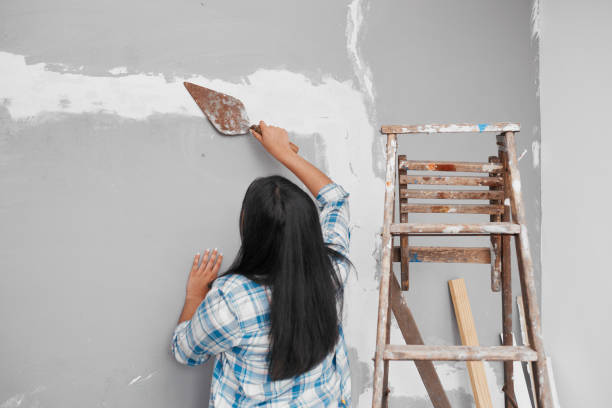 istock Young Indian woman plasters over cracks in wall home DIY project 1459953470