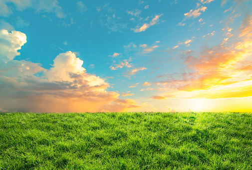 green grass over cloudy sky and shining sun.