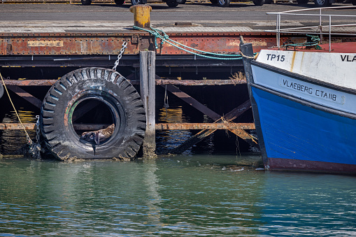 Cape Town, South Africa - December 14th 2022: Sea lion resting in a large tire in the harbor