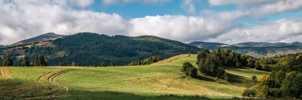 istock Beautiful mountain landscape panorama view of a mountain range with forested hillsides, meadows covered with grass, clouds in the blue sky on a sunny day. Ecotourism 1459955819