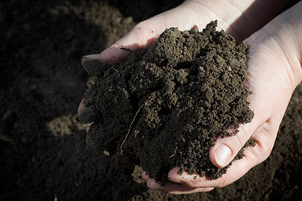 Soil. stock photo