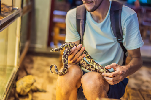 A Man Holding A Small Python In His Hands Stock Photo - Download Image ...