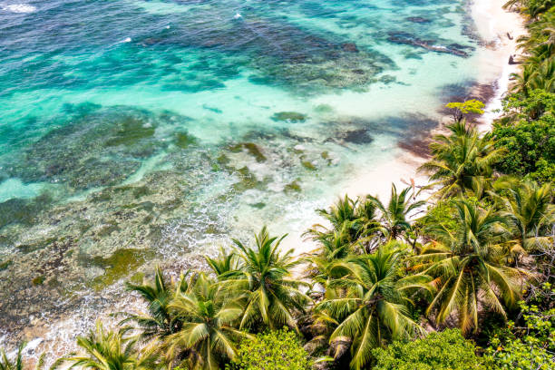 Tropical Island Aerial View. Wild coastline lush exotic green jungle. Red Frog Beach in Bastimentos Island, Bocas del Toro, Central America, Panama. stock photo