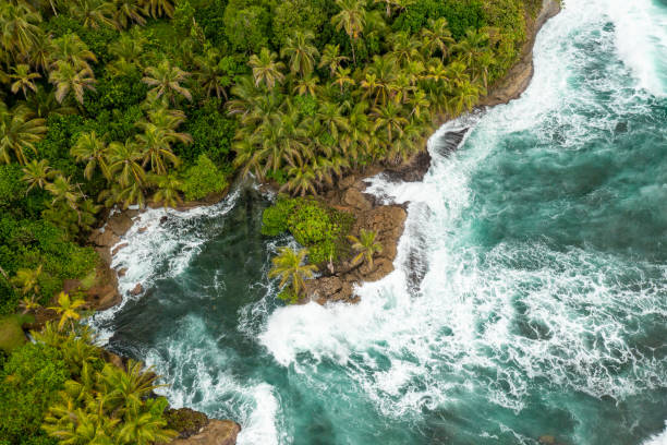 Tropical Island Aerial View. Wild coastline lush exotic green jungle. Red Frog Beach in Bastimentos Island, Bocas del Toro, Central America, Panama. stock photo
