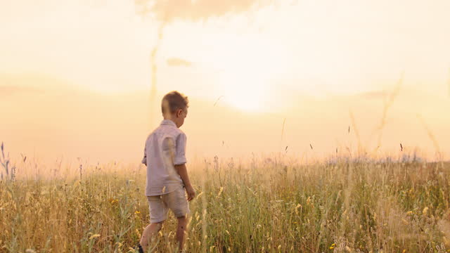 Slow motion tracking shot of a young blonde boy walking down the meadow towards sunset