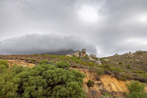 Mountain top shrouded in clouds in the suburbs of Cape Town