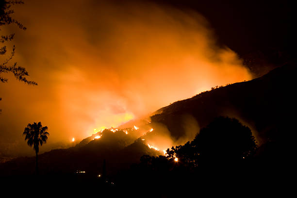 Cтоковое фото Южная Калифорния Wildfire