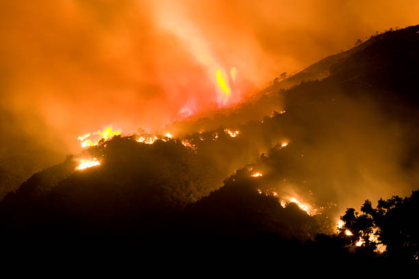 Flames and glow from out of control wildfire with large swirl of flame.