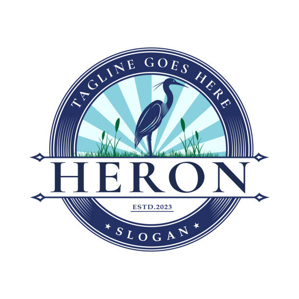 illustrations, cliparts, dessins animés et icônes de inspiration vintage retro silhouette grue animal sauvage à l’extérieur, modèle de timbre - heron blue heron bird swamp