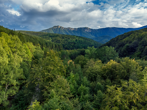 Aerial view of forest and peaks of Balkan Mountains, Bulgaira, during summer. Popular travel destination for trekking, hiking, camping.