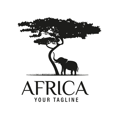 African Acacia Tree with African Elephant Silhouette for Safari Adventure Vector