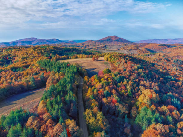 istock Amazing autumn landscape in Balkan Mountains 1459962780