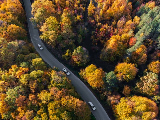 istock Amazing autumn landscape in Balkan Mountains 1459962996