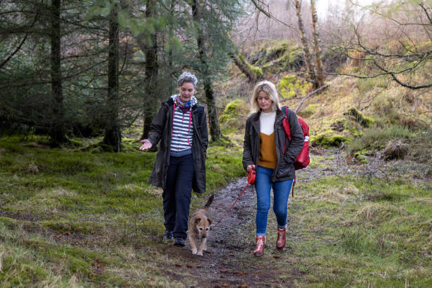 istock Women on a Dog Walk 1459964299