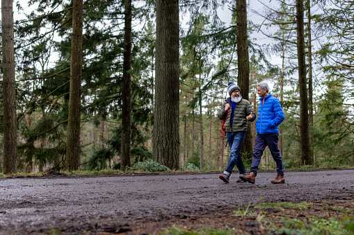 Wide shot of two senior men on a walk through a woodland area in Northumberland, North East England. They are relaxing, enjoying the tranquility at the weekend on a staycation.