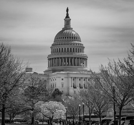 United States Capital building in Washington, DC