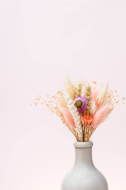 istock bouquet of dried plants in ceramic bottle on pink 1459967207